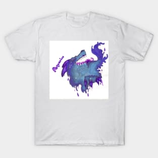 Aquarius T-Shirt